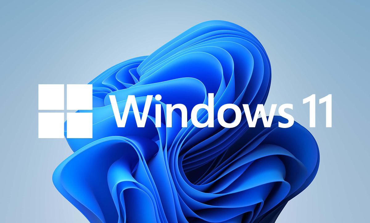 Windows 11
