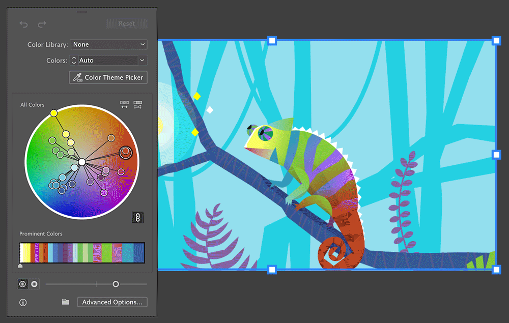 Illustrator – Tous niveaux